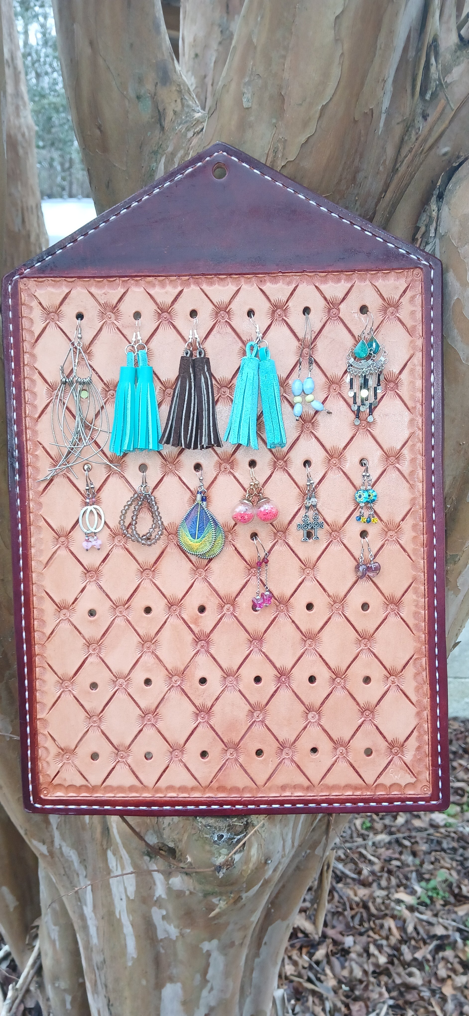 Large wall hanging earrings holder
