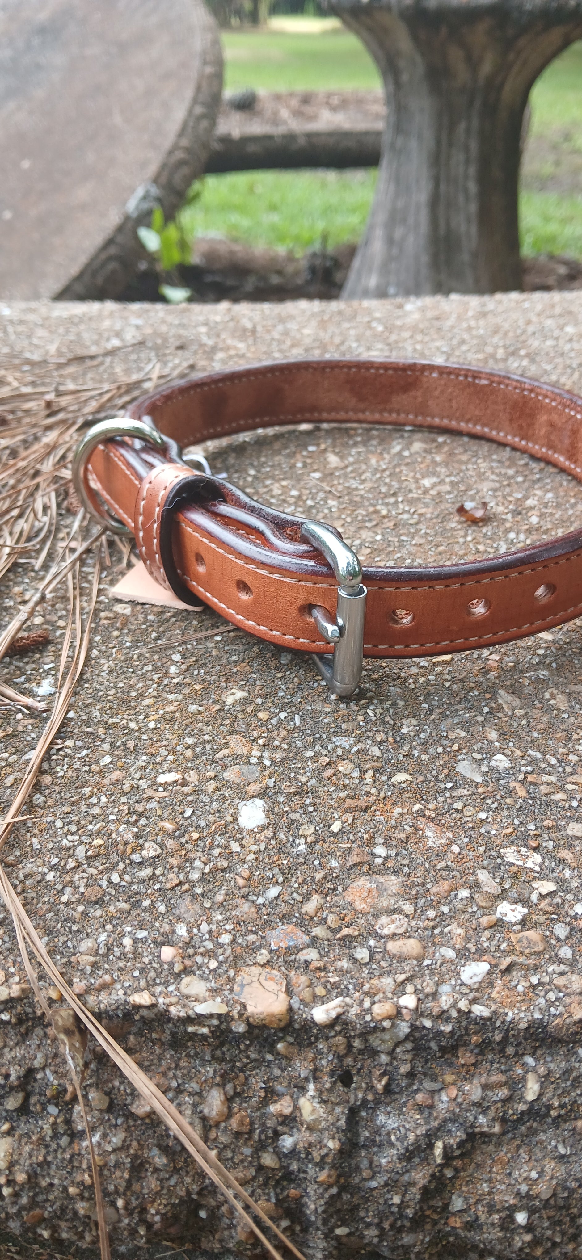 Leather Dog Collar