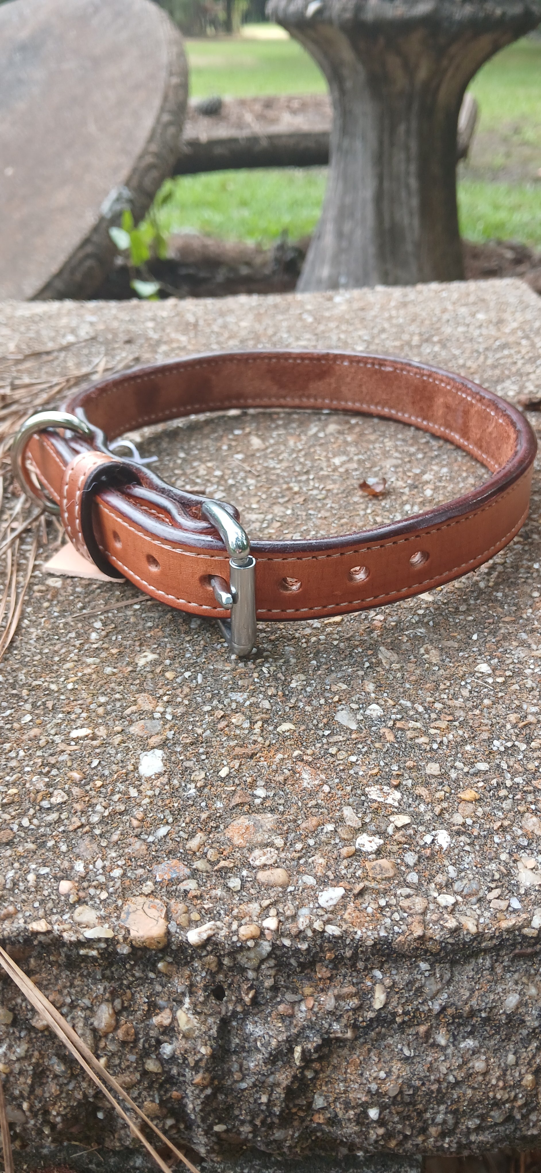 Leather Dog Collar